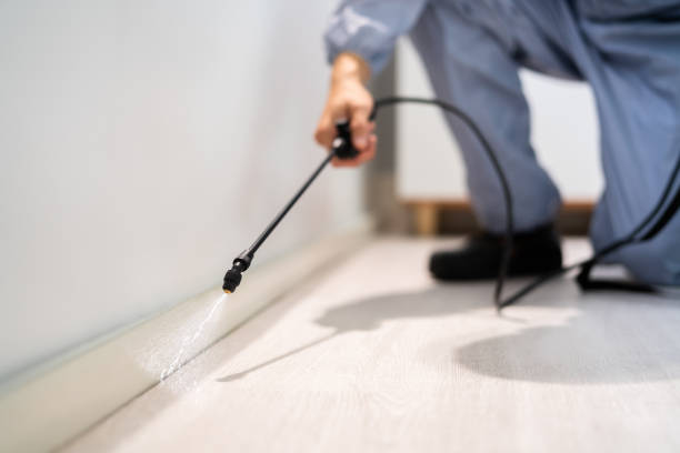 Licensed Pest Control service in Fort Washakie, WY - Show Me Pest Control