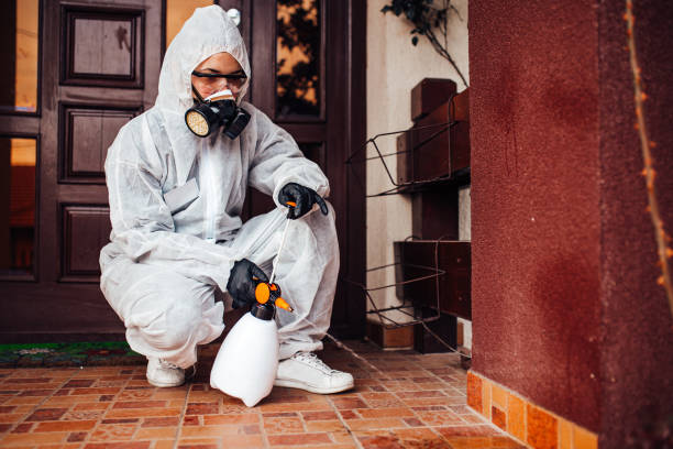 Reliable Wasp Removal contractor in Fort Washakie, WY by Show Me Pest Control