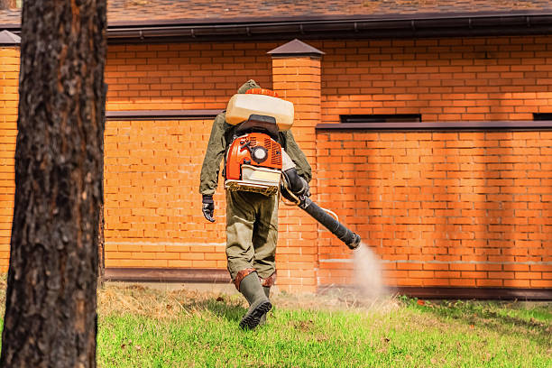 Top rated local Wasp Removal specialists in Fort Washakie, WY